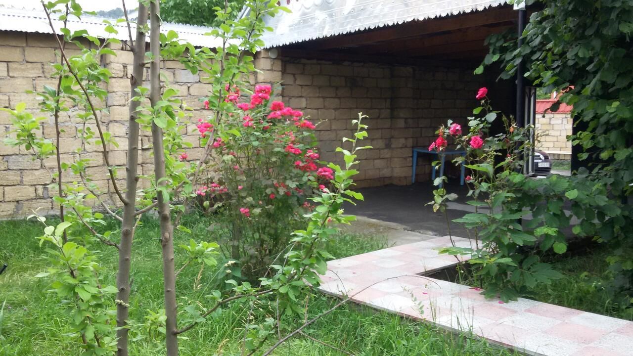 Виллы Gabala Finiş Villa Габала-12